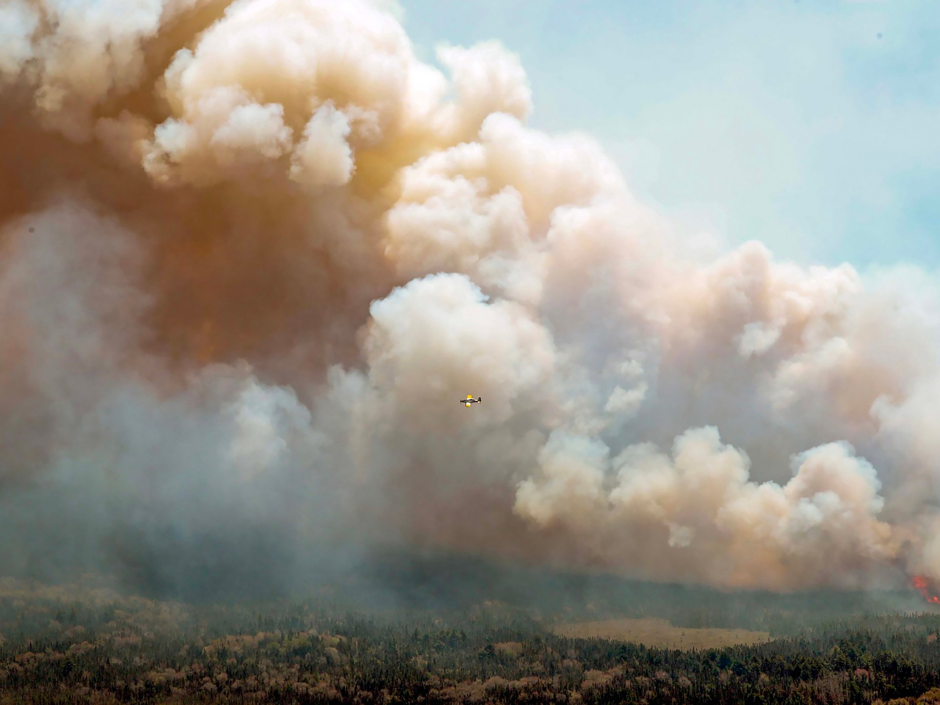 Kebakaran hutan yang ‘belum pernah terjadi sebelumnya’ di Nova Scotia Kanada terus terjadi |  Dalam Gambar Berita