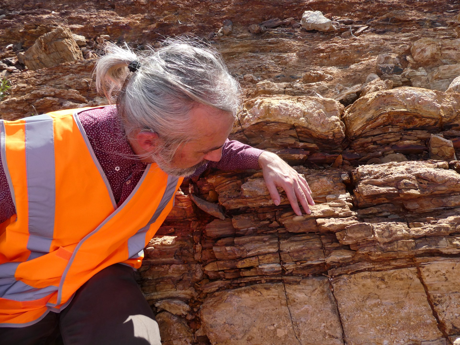 Naukowcy odkrywają „zaginiony świat” w australijskiej skale sprzed miliarda lat |  Wiadomości z nauki i technologii