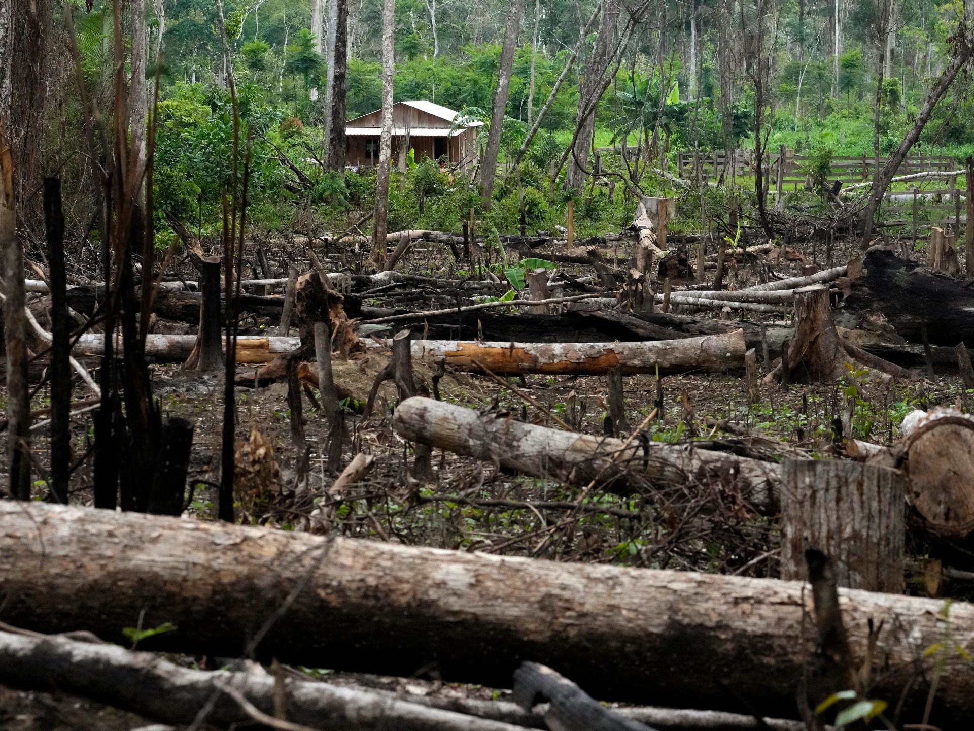 Presiden Brazil Lula Mengumumkan Rencana untuk Mengakhiri Deforestasi pada Tahun 2030 |  berita lingkungan
