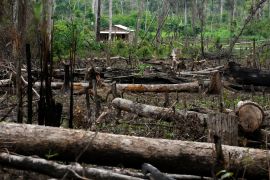 Brazilian President Luiz Inácio Lula da Silva has fought to reverse trends of deforestation that hit record levels under his predecessor, Jair Bolsonaro [File: Eraldo Peres/AP Photo]