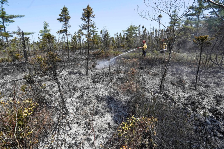 Kebakaran hutan Kanada menyebar ke area baru, mendorong lebih banyak evakuasi |  Berita Cuaca