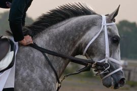 Tapit Trice trains ahead of the Belmont Stakes horse race