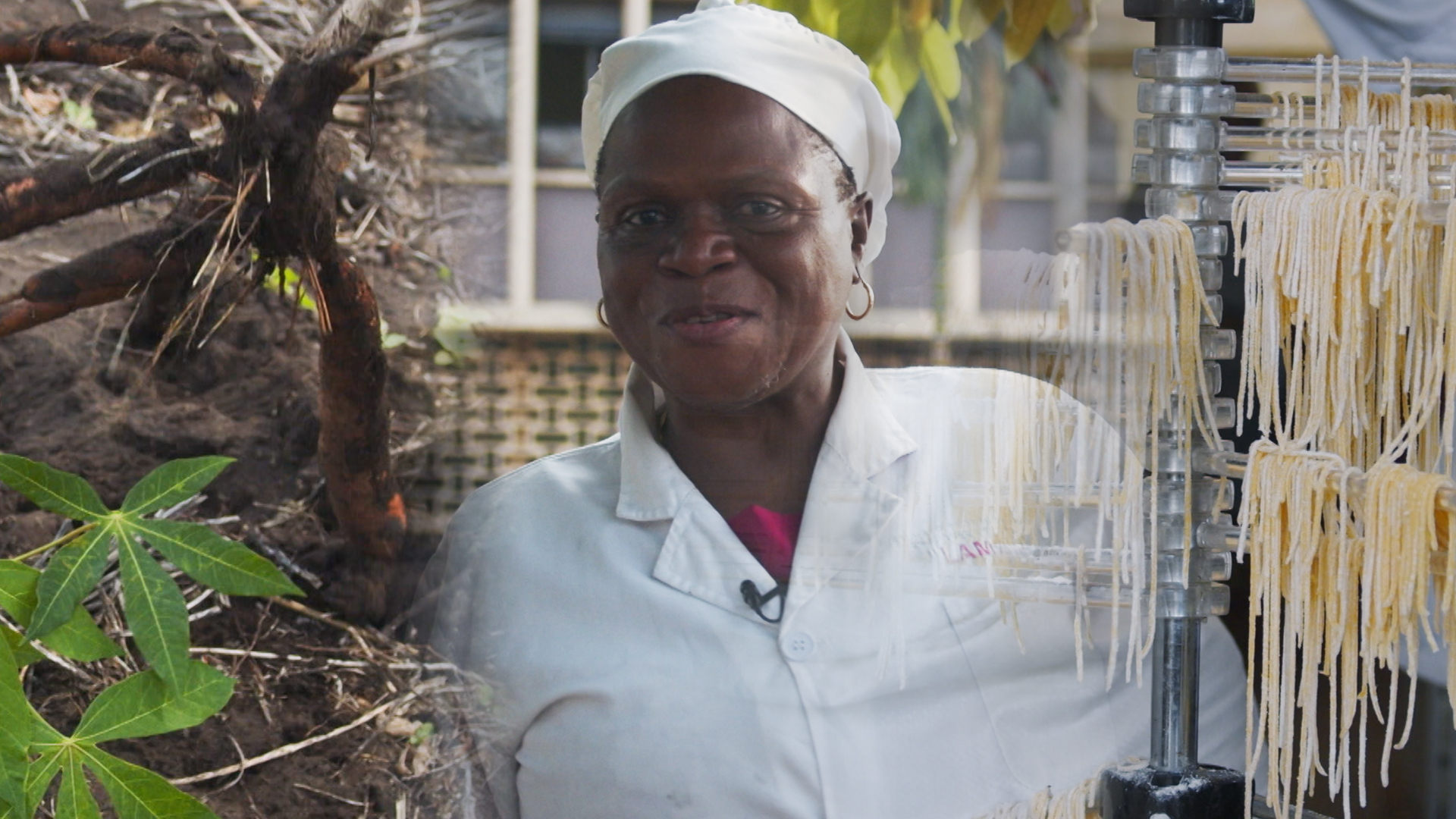 reinventing-cassava-in-dr-congo