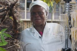 Reinventing Cassava in DR Congo