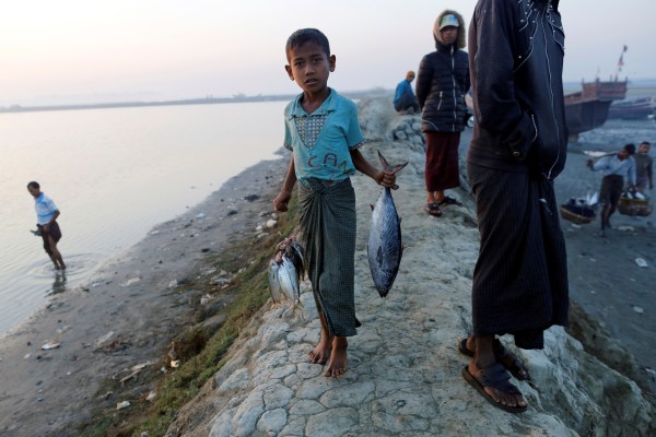 Преврат, циклон и нова връзка между рохингите в Мианмар и Ракхайн