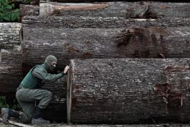 An agent of the Brazilian Institute for the Environment and Renewable Natural Resources (IBAMA) inspects a tree extracted from the Amazon rainforest, in a sawmill during an operation to combat deforestation, in Placas, Para State, Brazil January 20, 2023. REUTERS/Ueslei Marcelino