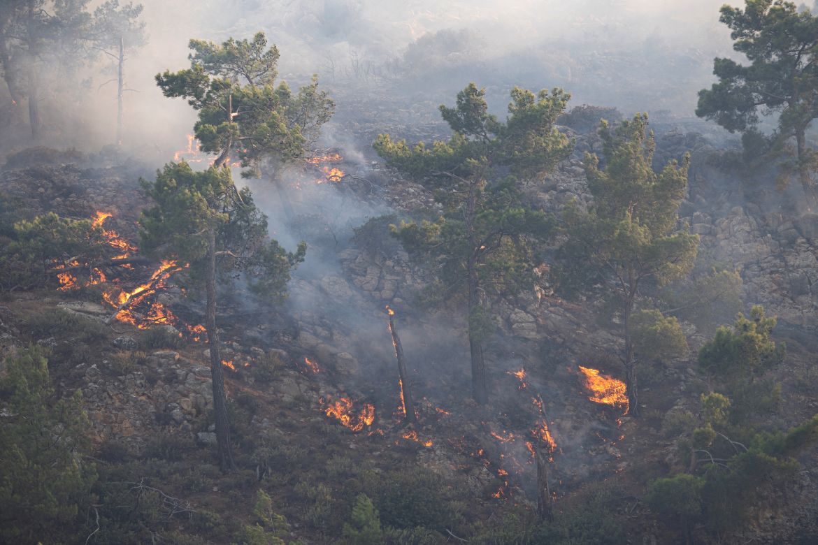 A wildfire burns in a forest near Lardos