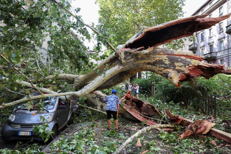 People stand among fallen trees after thunderstorms and torrential rain in Milan