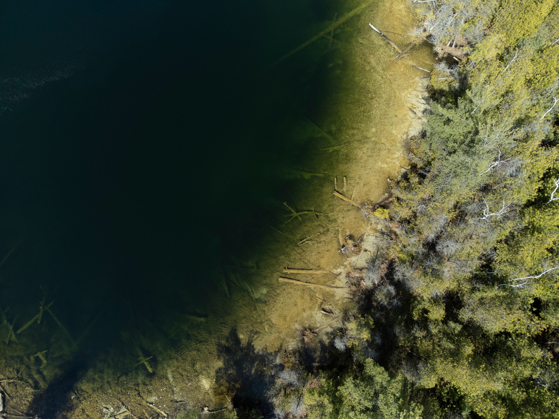 Bukti di Danau Kanada menandai dimulainya zaman baru Antroposen |  Berita Sains dan Teknologi