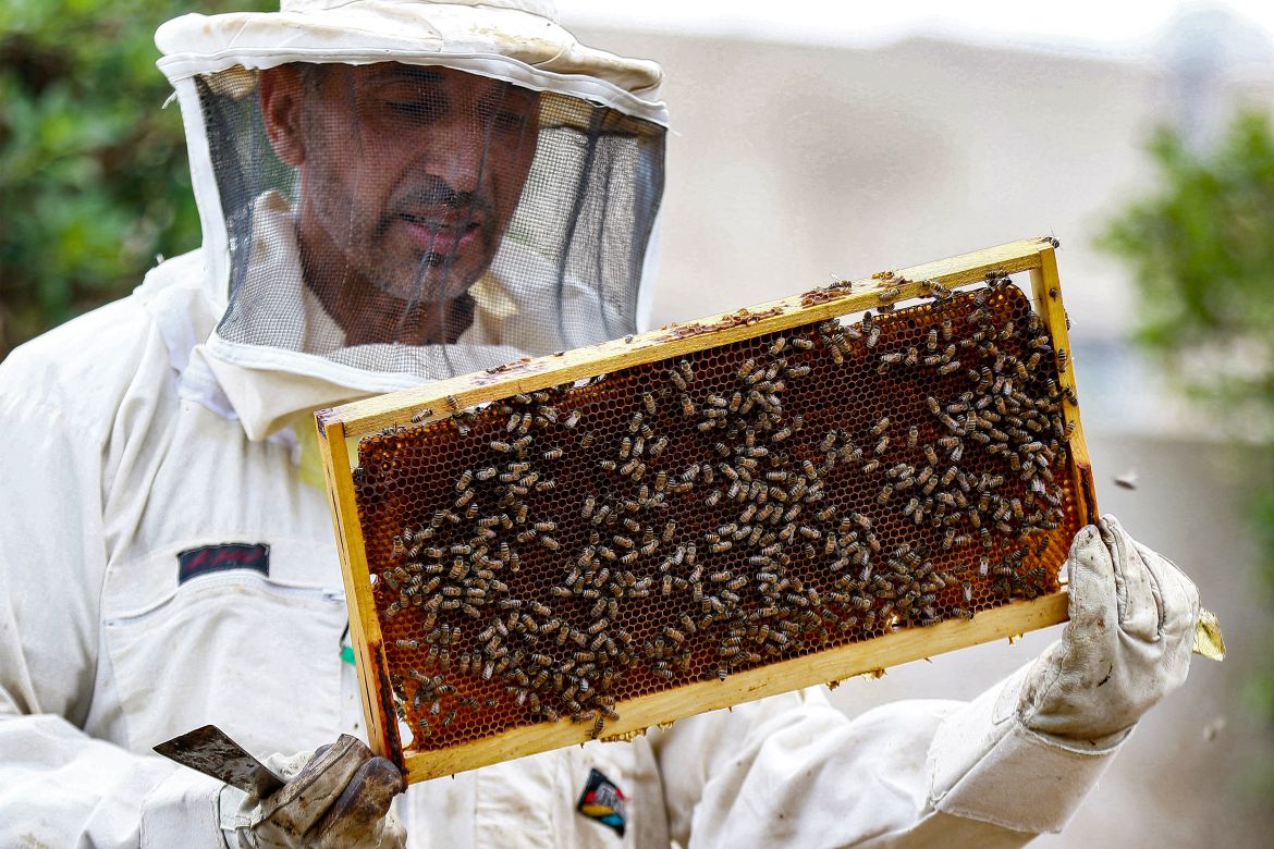 Mohammad Khatib, a 49-year-old bee enthusiast