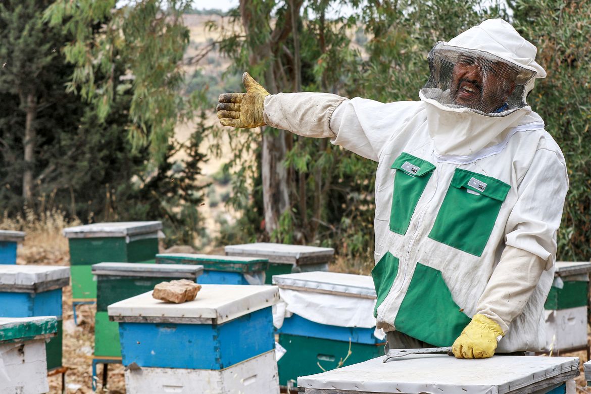 Mutasim Hamed, a beekeeper and retired employee