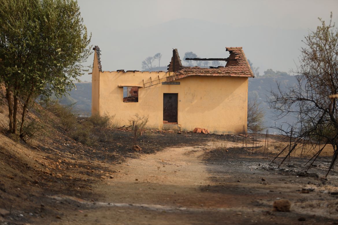 A view of damage after devastating forest fires swept through several states including Bouira, Algeria