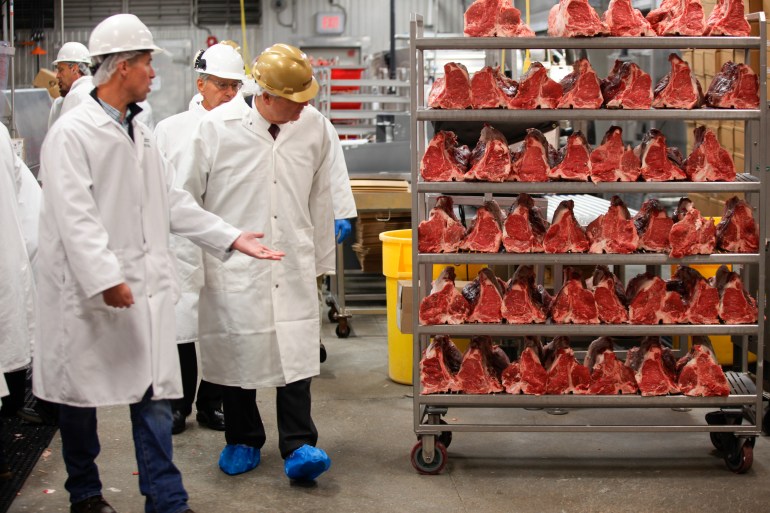 A man in a gold helmet and a white lab coat tours a meat factory, passing stacked trays of red meat.