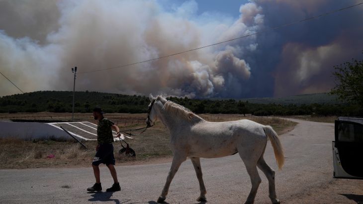A man evacuates a horse from a stable as smoke billows from a fire in Pournari village, near Athens, Greece