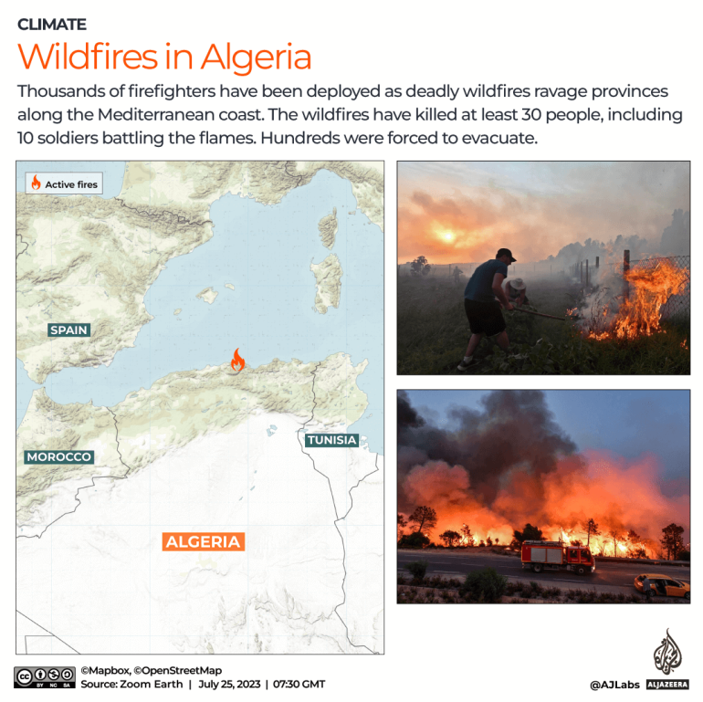 Kebakaran hutan di Aljazair menewaskan puluhan orang, memaksa ratusan orang mengungsi |  Berita Iklim