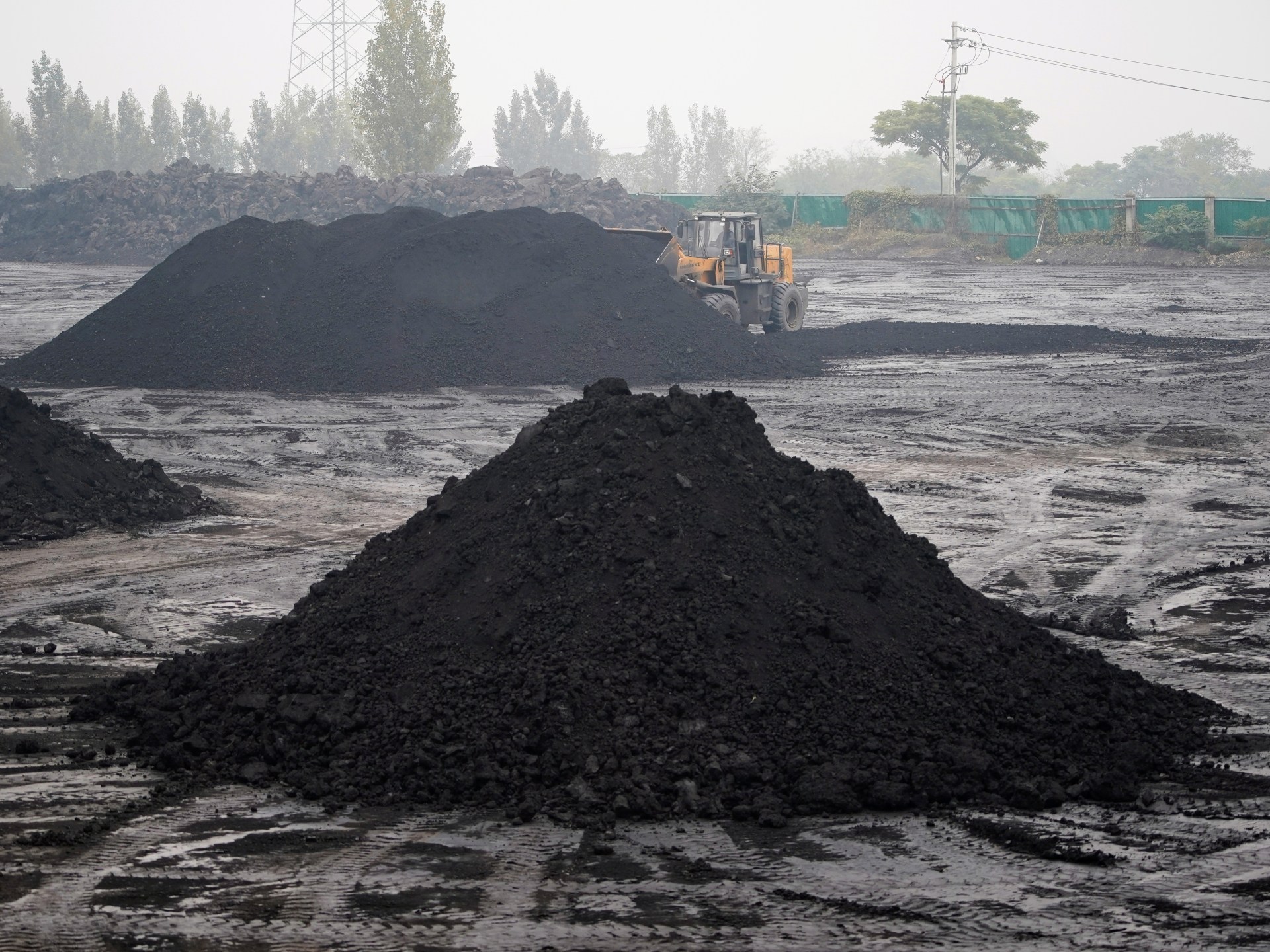 Global coal use to reach record high in 2023, energy agency says | Climate Crisis News