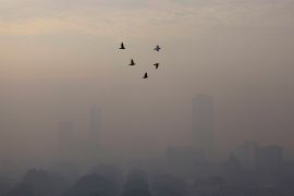 Birds fly on a smoggy morning in Jakarta, Indonesia, May 27, 2022. REUTERS/Willy Kurniawan TPX IMAGES OF THE DAY