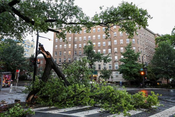 Двама загинаха, над 700 000 останаха без електричество заради бурите, връхлетящи източната част на САЩ