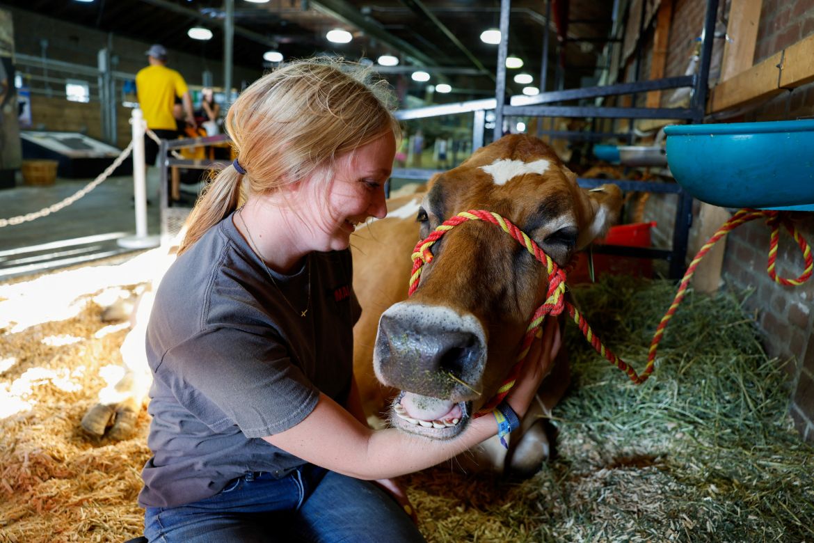 Abigail Rogers, 21, sits with Corn, a Jersey cow, at the "I Milked a Cow" booth in the cattle barn in the Iowa State Fair in Des Moines, Iowa, U.S. August 10, 2023.