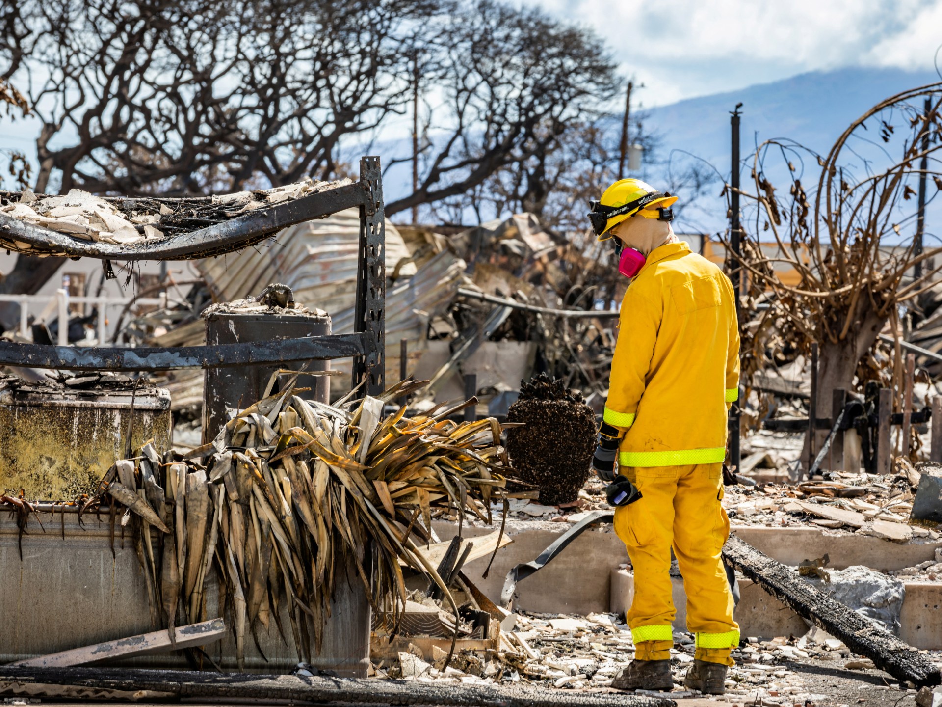 Hawaii valisi, Maui orman yangınlarından sonrasında ‘toprak gaspını’ önleme sözü verdi