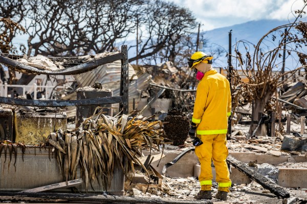 Губернаторът на Хавай обещава да предотврати „заграбване на земя“ след горските пожари в Мауи