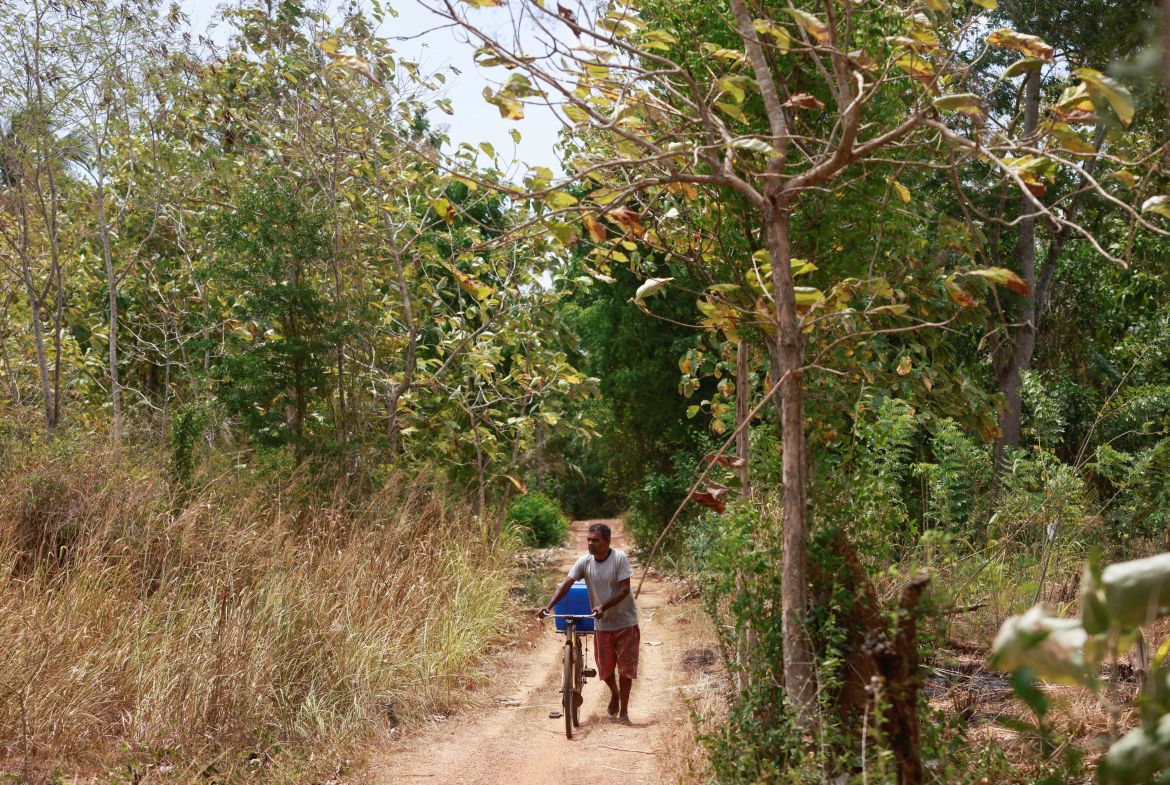 Drought dents Sri Lanka's economic hopes, farmers' livelihood