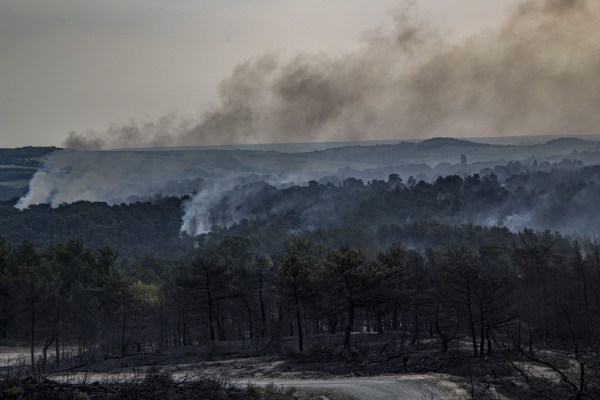 Гръцки горски пожар уби 18 заподозрени търсещи убежище в регион Дадия