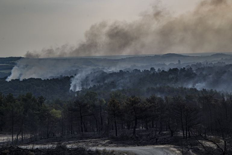 This photograph taken in the national park of Dadia, eastern Greece, on July 25, 2022 shows smoke rising over burned trees.