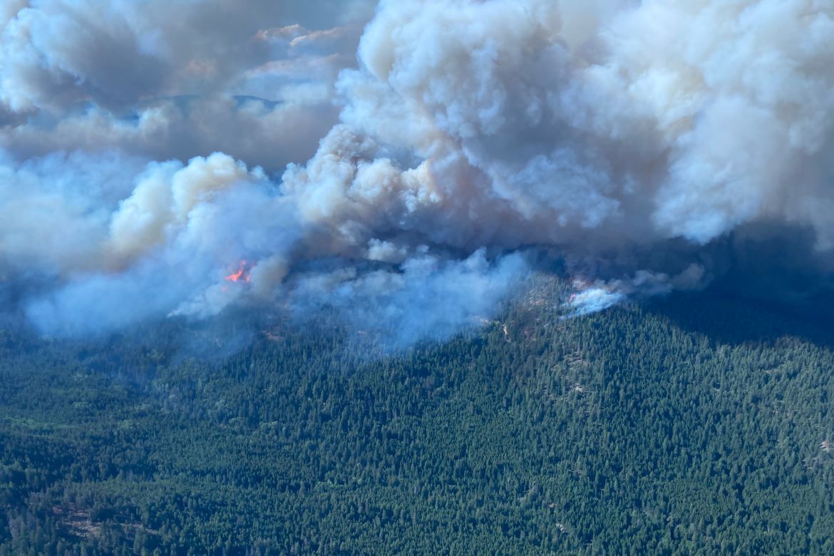 This image shows a wildfire burning in British Columbia, Canada