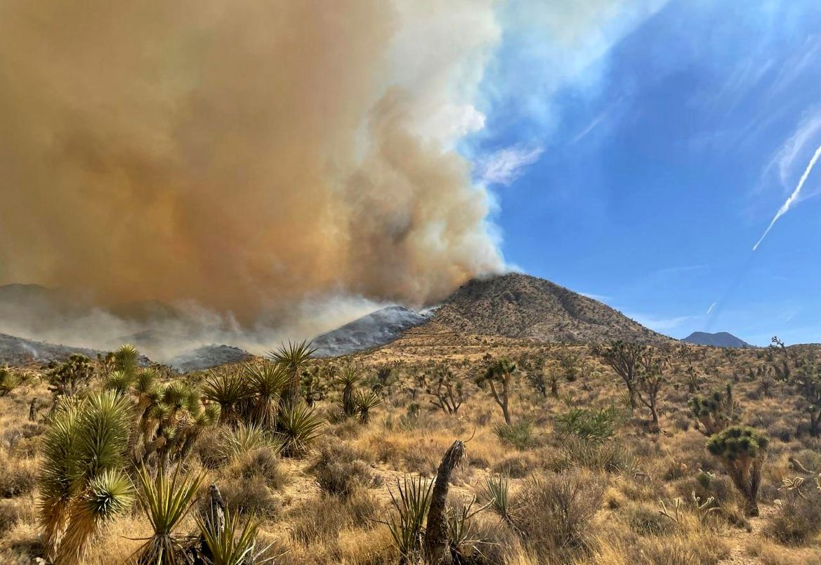 smoke billows on the north end from the York fire in Mojave National Preserve