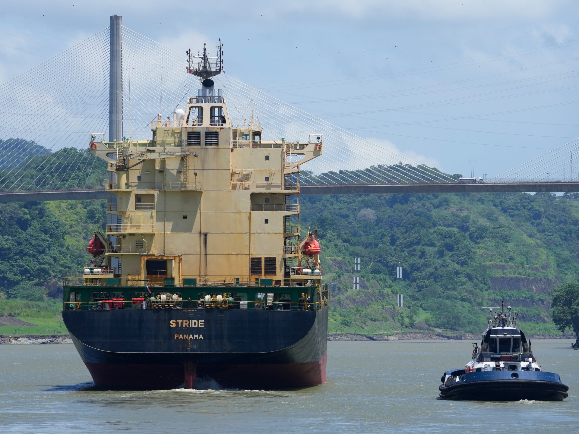Desde plátanos hasta GNL, el retraso en el Canal de Panamá tiene implicaciones de amplio alcance  Noticias empresariales y económicas.
