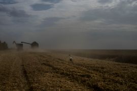 Global prices for food commodities like rice and vegetable oil have risen for the first time in months after Russia pulled out of a wartime agreement allowing Ukraine to ship grain to the world and India restricted some of its rice exports [File: Jae C Hong/AP Photo]