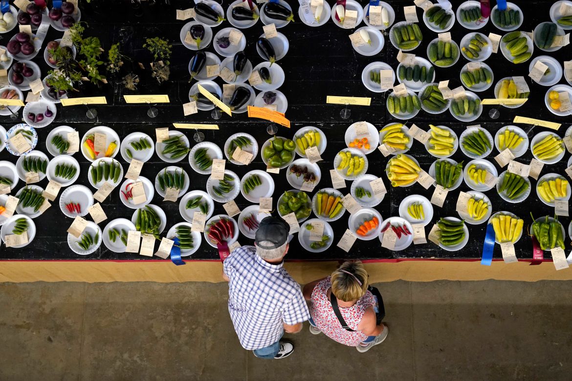 An aerial view of dozens of plates carrying vegetables, as a pair of fair-goers peers at the food.