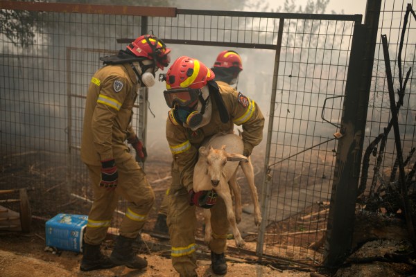 Пламъци поглъщат гори и домове, докато горските пожари в Гърция излизат извън контрол