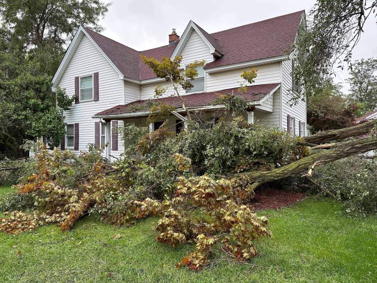 A white two-story house is seen with toppled trees crashed around its front lawn.