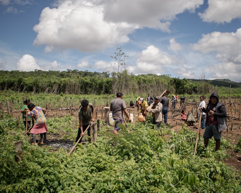 Warga komunitas Willimon di Brazil berkumpul untuk membantu membersihkan tanah Telma Macuxi