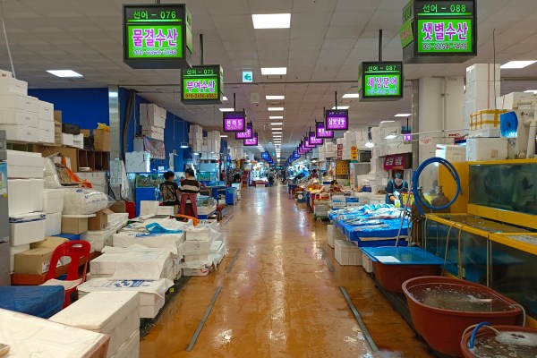 Продавачите на морски дарове в Южна Корея се разтревожиха, тъй като науката не успя да облекчи страховете от Фукушима