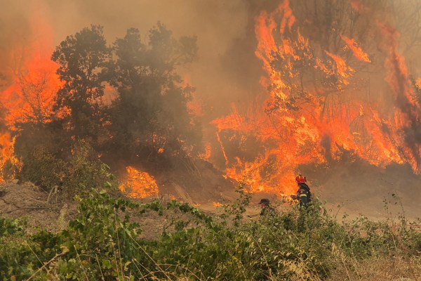 „Цялото ми богатство беше там“: Пожари опустошават поминъка и дивата природа на Гърция