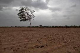 A dried agricultural farmland in India