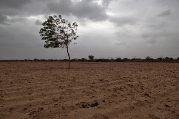 Мусонните валежи в Индия тази година са най ниските от