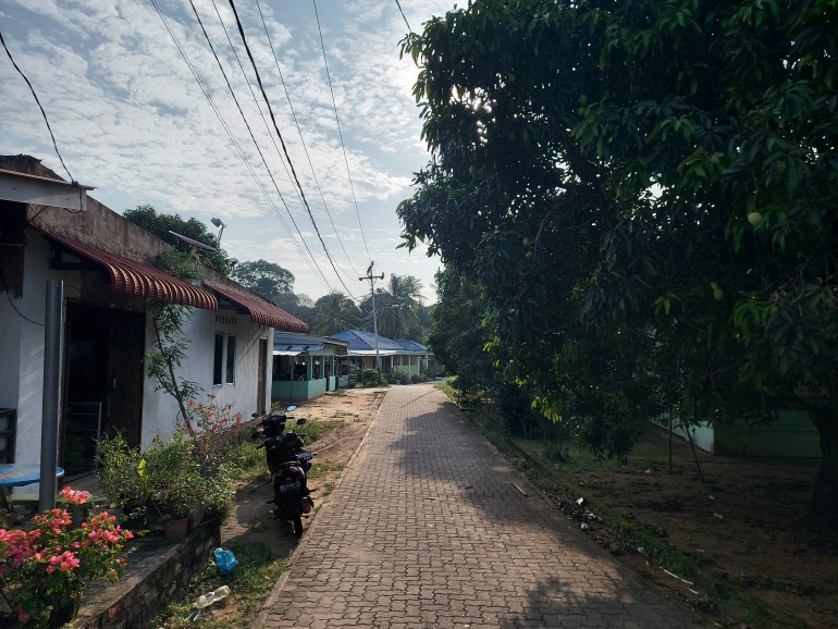 A quiet street in Sembulang with single storey houses on one side and trees on the other. There are flowering bushes outside one house, and a motorbike parked outside.