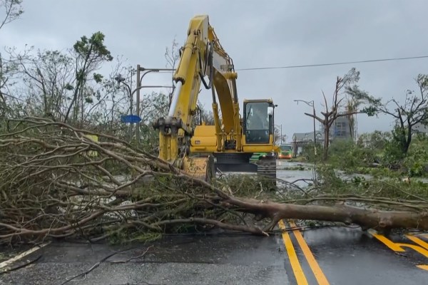 Тайфунът Хайкуи събори стотици дървета, повреди крайбрежните пътища и изсипа