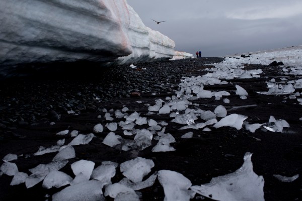 В доклада се казва, че Антарктика е била свидетел на най-интензивната гореща вълна в света през 2022 г.