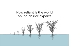 INTERACTIVE_RICE_COVER_SEP20_2023-1695192949