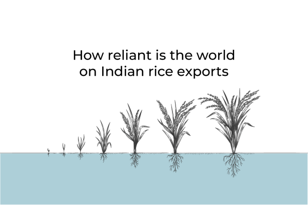 Доколко светът зависи от износа на индийски ориз?