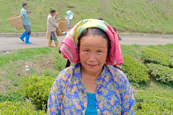 Sarla Thapar, a tea plucker in Darjeeling