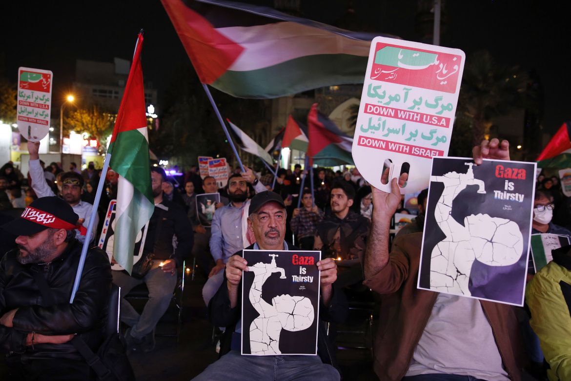 Pro-Palestine supporters hold flags and placards as they gather to show their solidarity with the people in Gaza