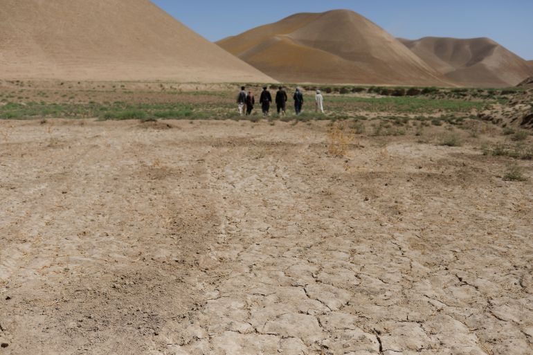 A parched field is pictured in Balkh province, Afghanistan, August 4, 2023. REUTERS/Ali Khara