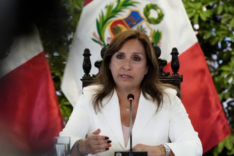 Dina Boluarte, sitting at a table in front of a Peruvian flag, speaks into a microphone.