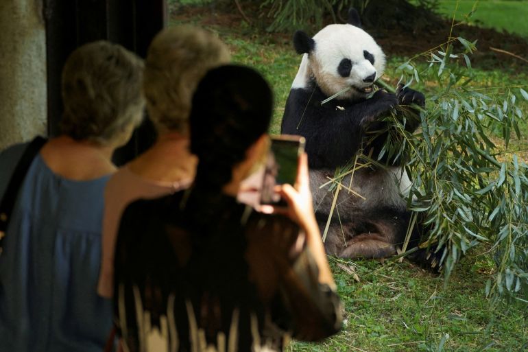 FILE PHOTO: Visitors take photos of giant panda Mei Xiang eating bamboo during the reopening morning of Smithsonian's National Zoo in Washington, U.S., May 21, 2021. REUTERS/Kevin Lamarque/File Photo